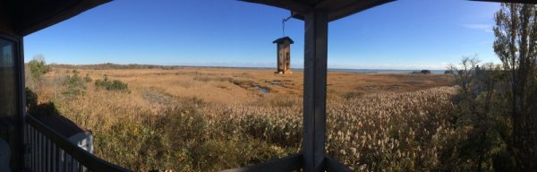 Day view_resize.JPG