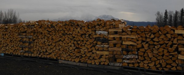 DSCF1732.JPG