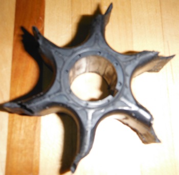 DSCF1566.JPG