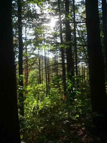 IMG_20140921_173539.jpg