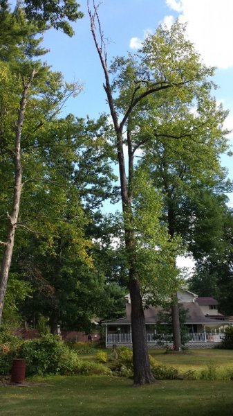 20140917_170321.jpg