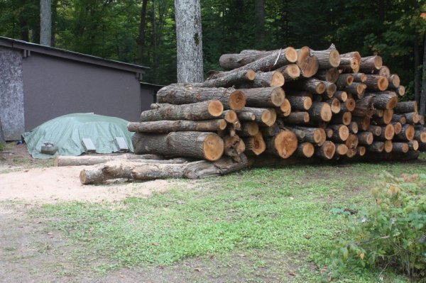 Sept 23   2014 002.JPG