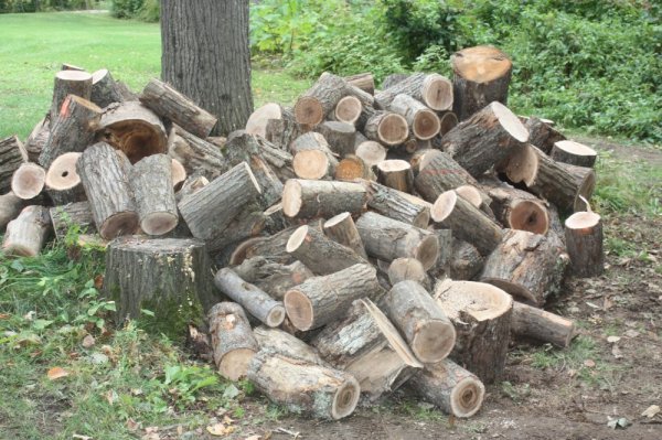 Sept 23   2014 001.JPG