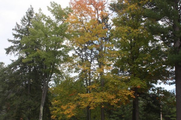 Sept 23   2014 003.JPG