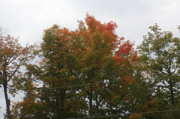 Sept 23   2014 004.JPG