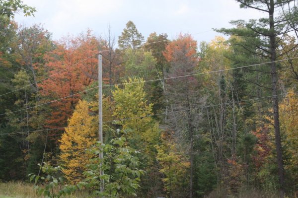 Sept 23   2014 005.JPG