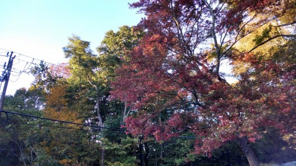 2014-09-23 18.00.01.jpg