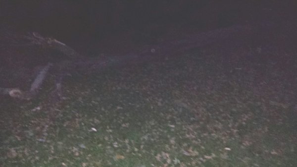 2014-09-23 21.26.04.jpg