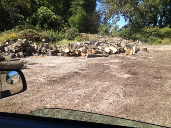 IMG_1294 (800x600).jpg