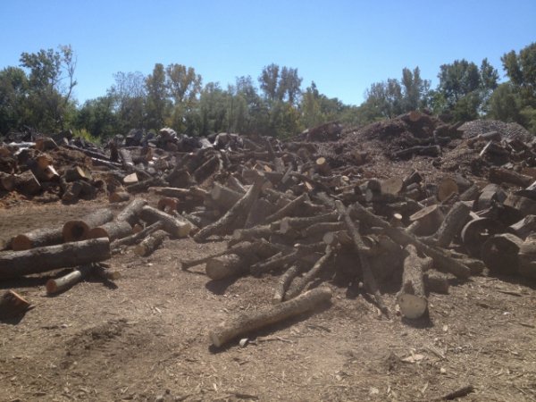 IMG_1296 (640x480).jpg