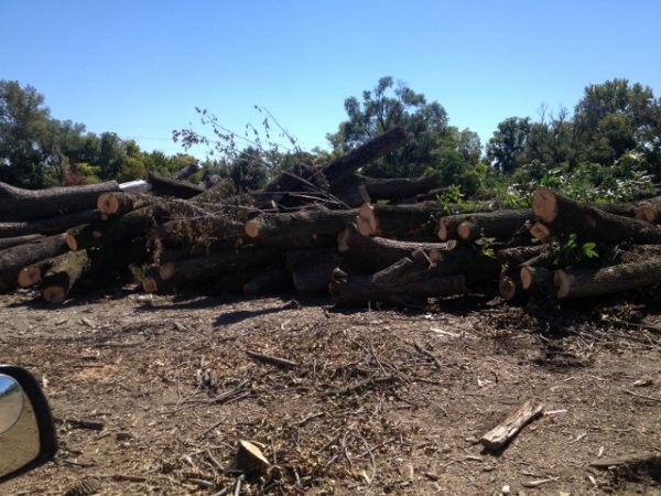 IMG_1297 (640x480).jpg