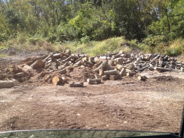 IMG_1295 (640x480).jpg