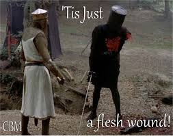 flesh wound.jpg