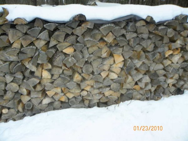 Woodpile-1.JPG