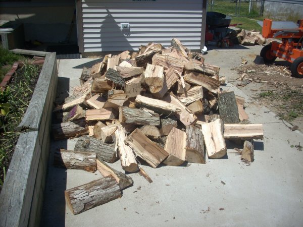 DSCN4533.JPG