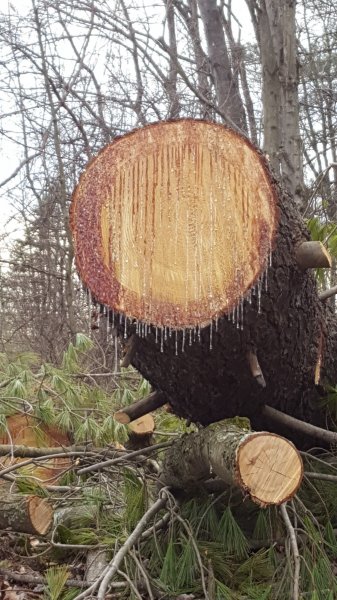 20190330_175620.jpg