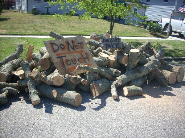 DSCN4590.JPG