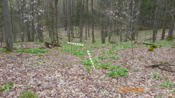 104_1763.JPG