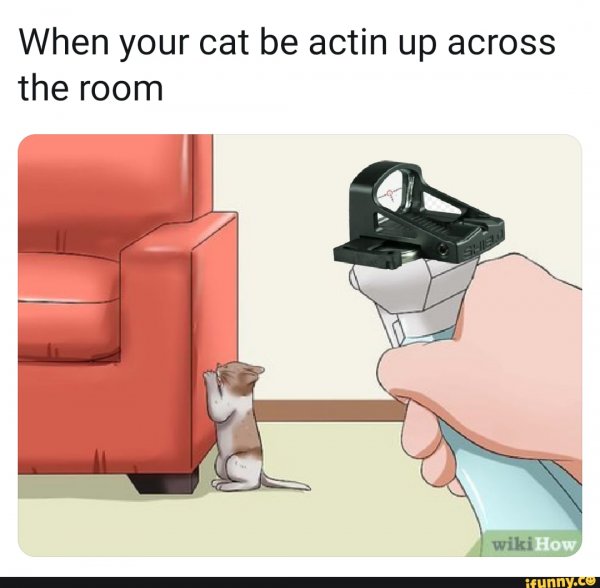 Catsites.jpg