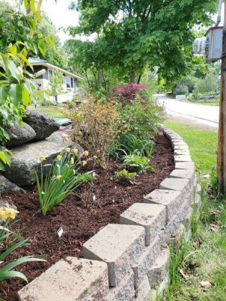 new mulch roadside long left.jpg