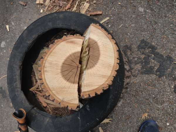 2021-05-25 09.50.47.jpg