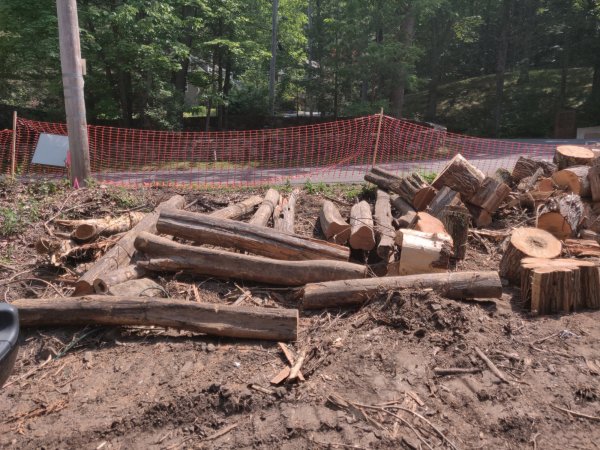 2021-05-26 10.59.07.jpg