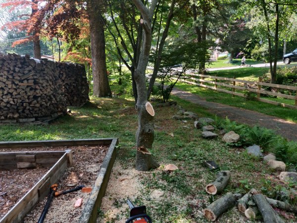 2021-05-26 15.00.10.jpg