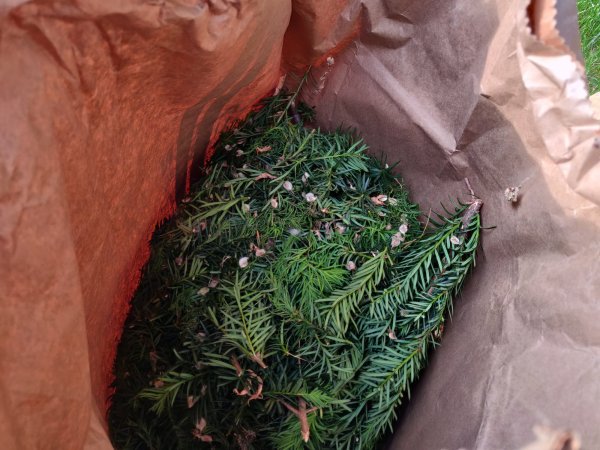 2021-05-26 17.48.31.jpg