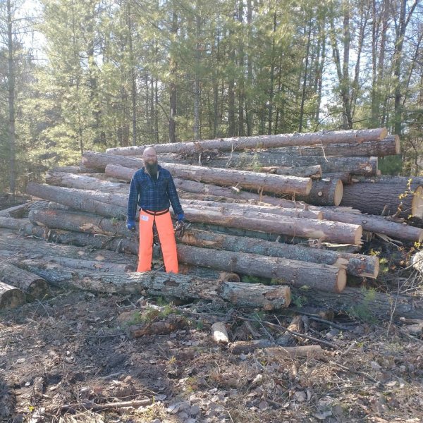 log pile.jpg