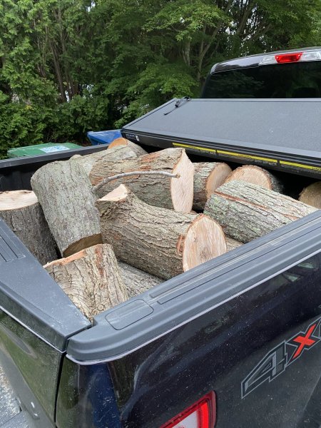 red maple firewood