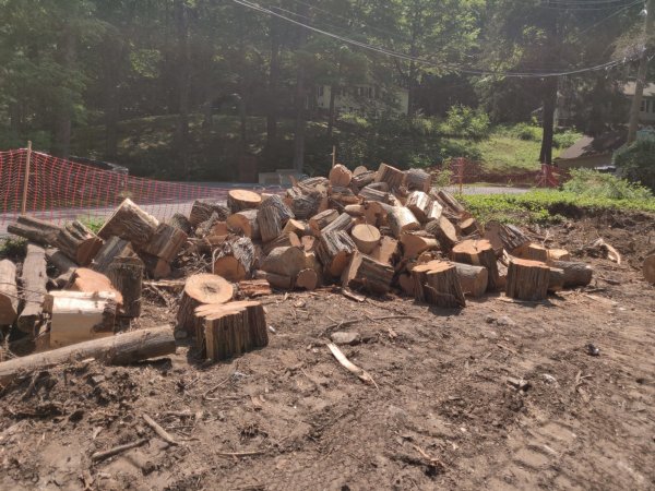 2021-05-26 10.59.05.jpg