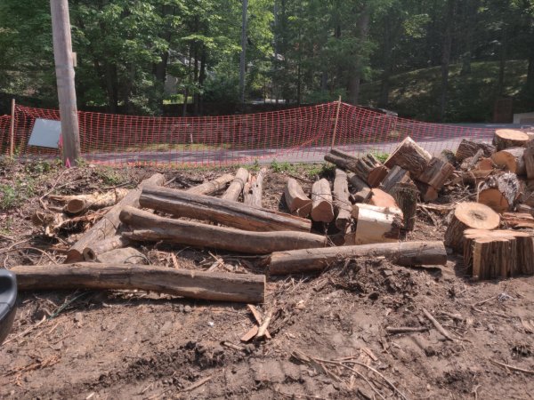 2021-05-26 10.59.07.jpg