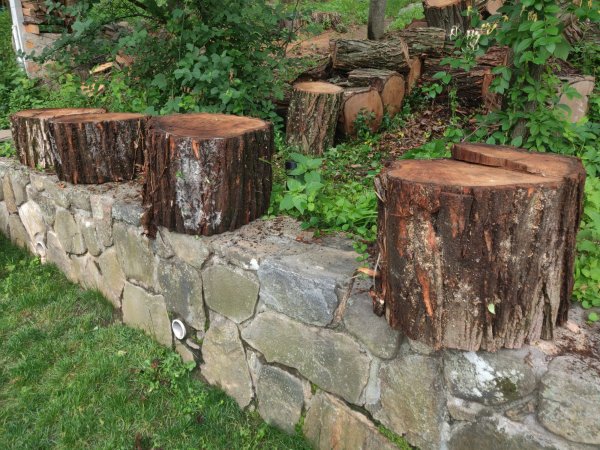 2021-06-08 14.13.08.jpg