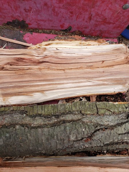 Easy splitting VS stringy black birch. | Firewood Hoarders Club