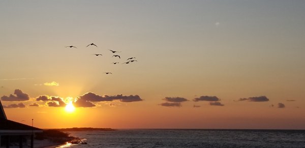 20190725_195943.jpg