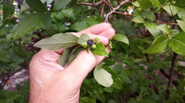 PHOTO_20210701_090103.jpg