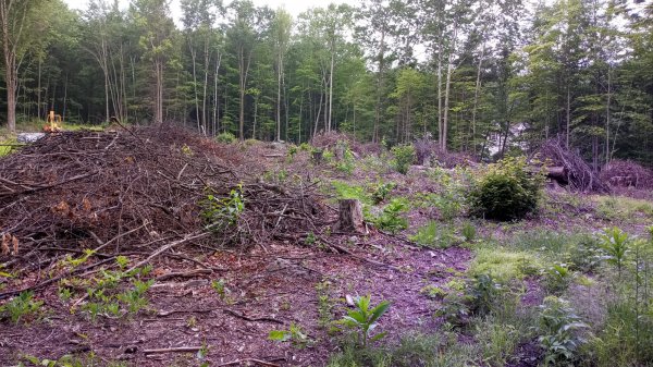 PHOTO_20210706_094552.jpg