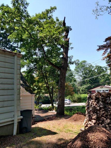 2021-07-07 11.54.01.jpg