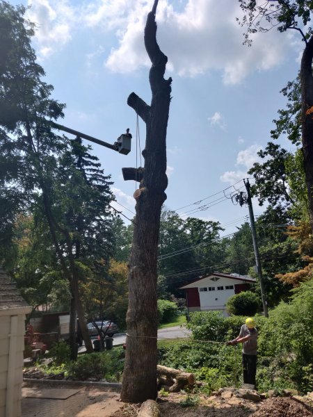 2021-07-07 14.36.05.jpg