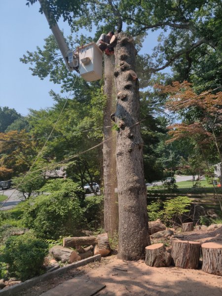 2021-07-07 15.04.00.jpg