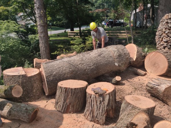 2021-07-07 15.25.10.jpg