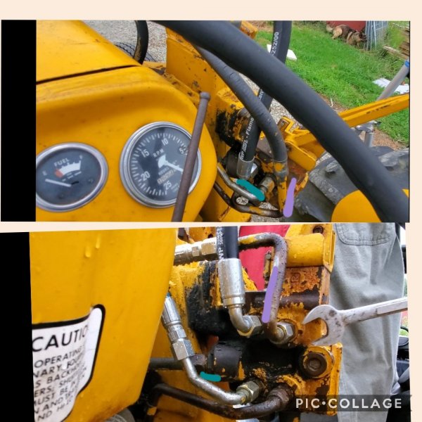 Collage 2021-07-07 21_37_50.jpg