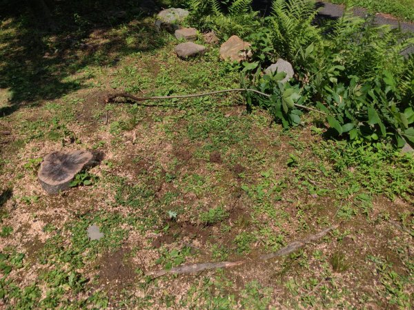 2021-07-07 12.12.45.jpg