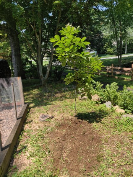 2021-07-07 12.16.37.jpg