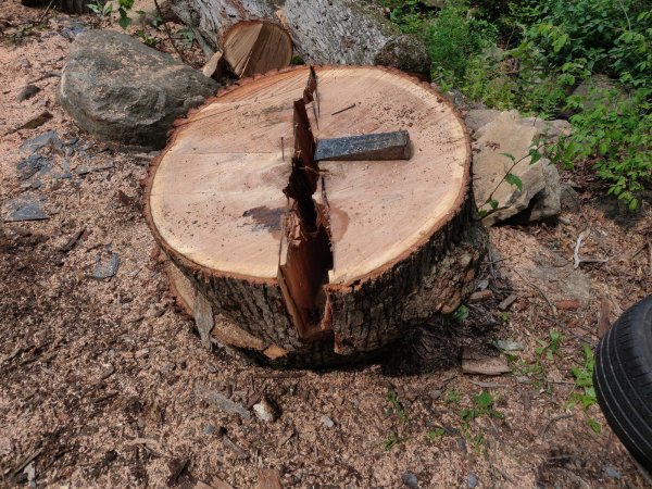 2021-07-08 11.10.04.jpg