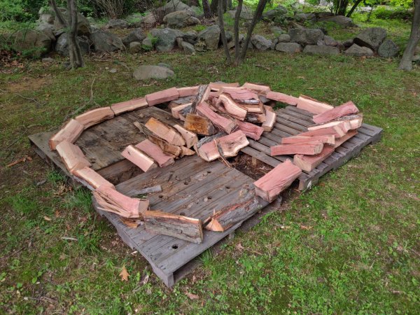 2021-07-08 12.57.10.jpg