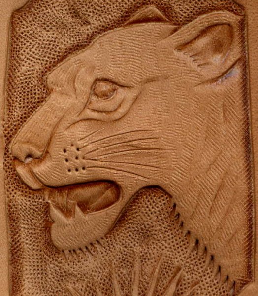 Cougar.JPG