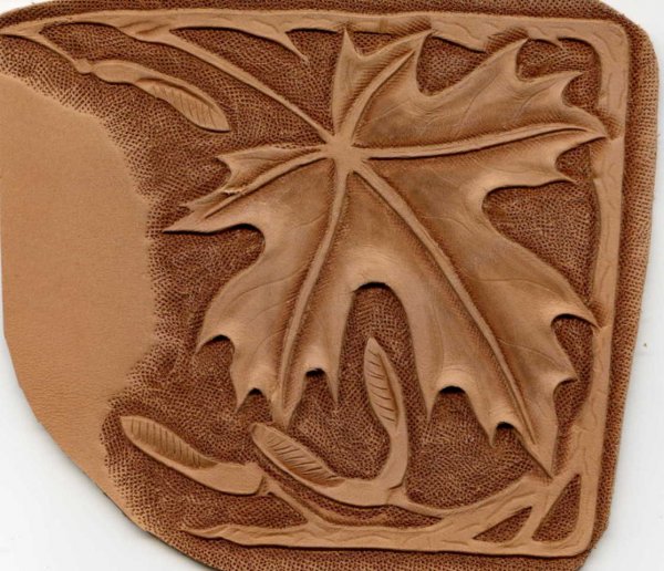 Maple-leaf.JPG