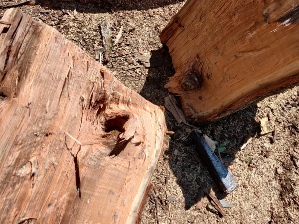 2021-07-23 11.17.39.jpg