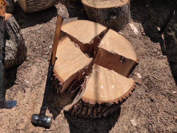 2021-07-23 11.55.03.jpg